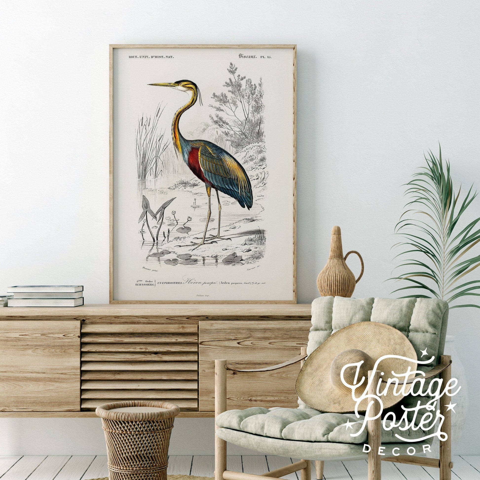 Home Poster Decor Vintage Bird Wall Art, Purple Heron Print, Botanical Poster, Birds Painting, Wedding Gift, Antique Bird Illustration, Birds of America