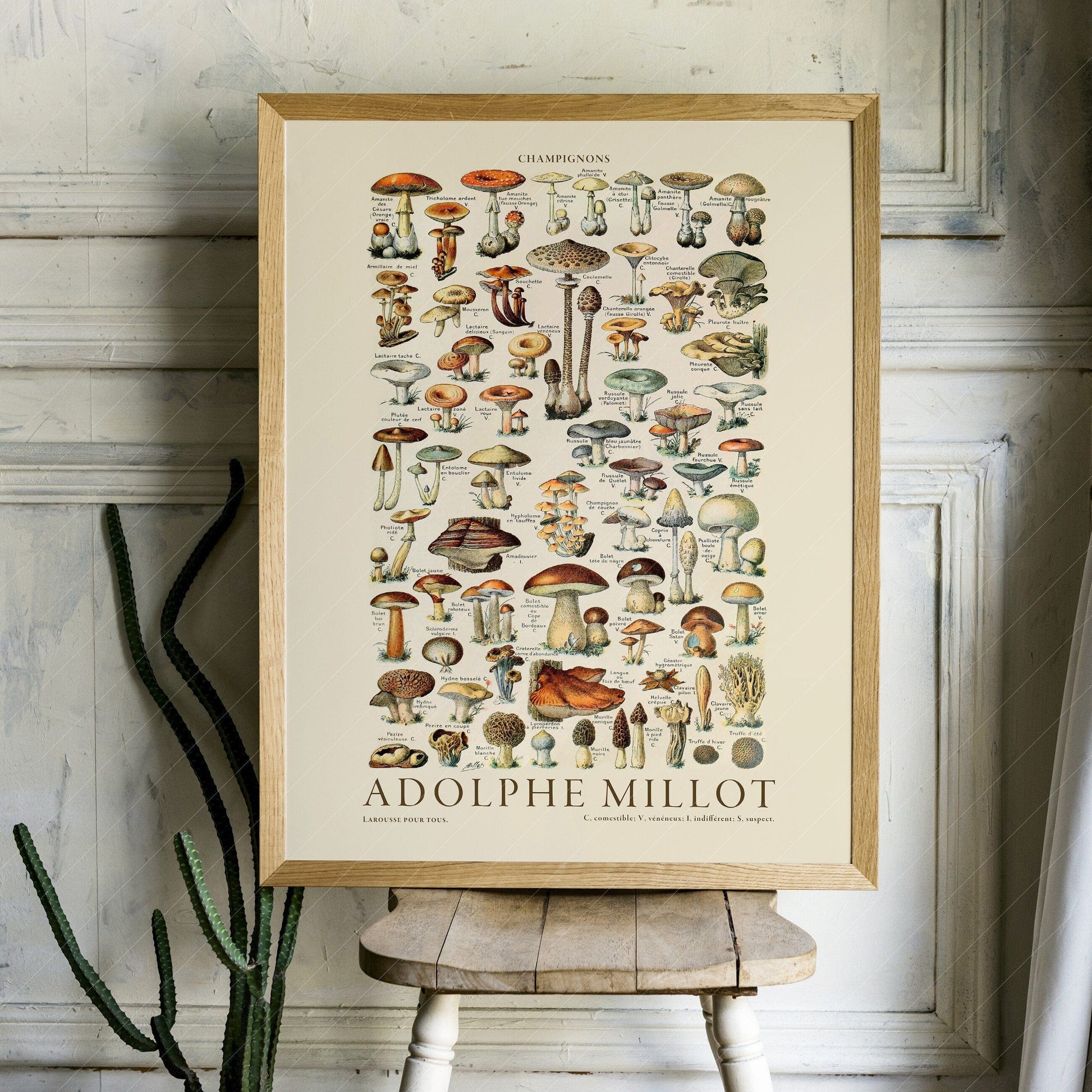 Home Poster Decor Single Vintage Botanical, Mushrooms Print, Kitchen Decor, Larousse Prints, Adolphe Millot Poster, Food Wall Art, High Quality Cotton Paper 1