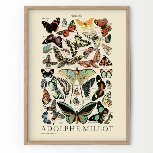 Home Poster Decor Vintage Butterfly Print, Adolphe Millot Poster, Papillon Wall Art, Butterfly Decor, Vintage Nursery, 8x10 11x14 A2 50x70 60x90 18x24 24x36