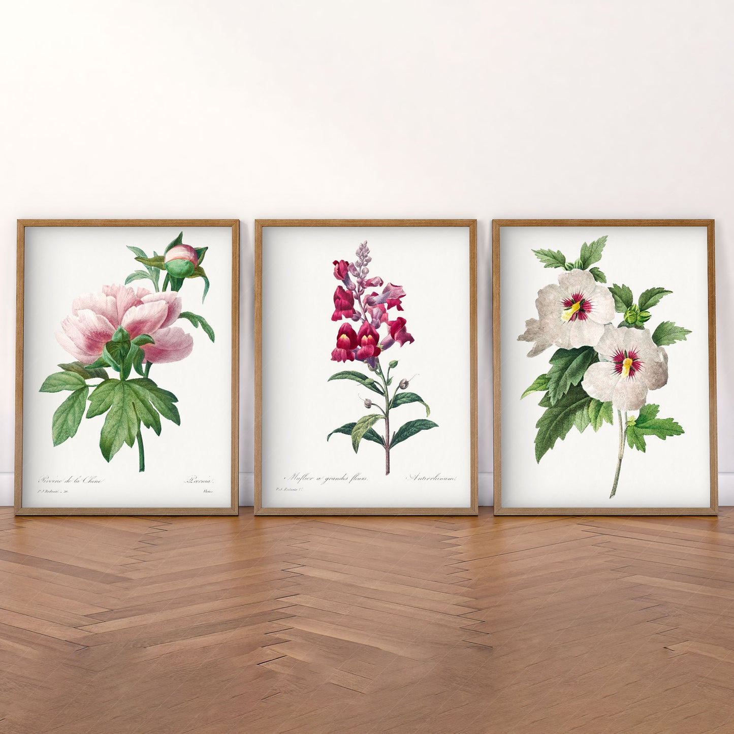 Botanical Gallery Wall Art, Set of 3 Prints, Antique Flowers Paintings 11