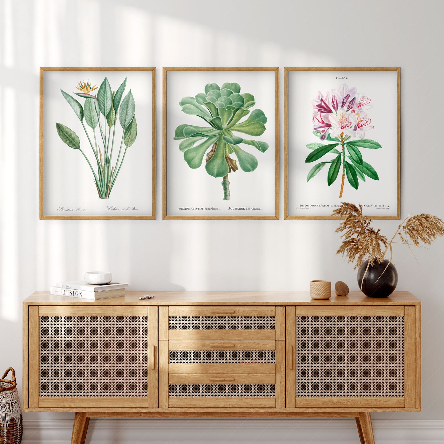 Botanical Gallery Wall Art, Set of 3 Prints, Antique Flowers Paintings 10