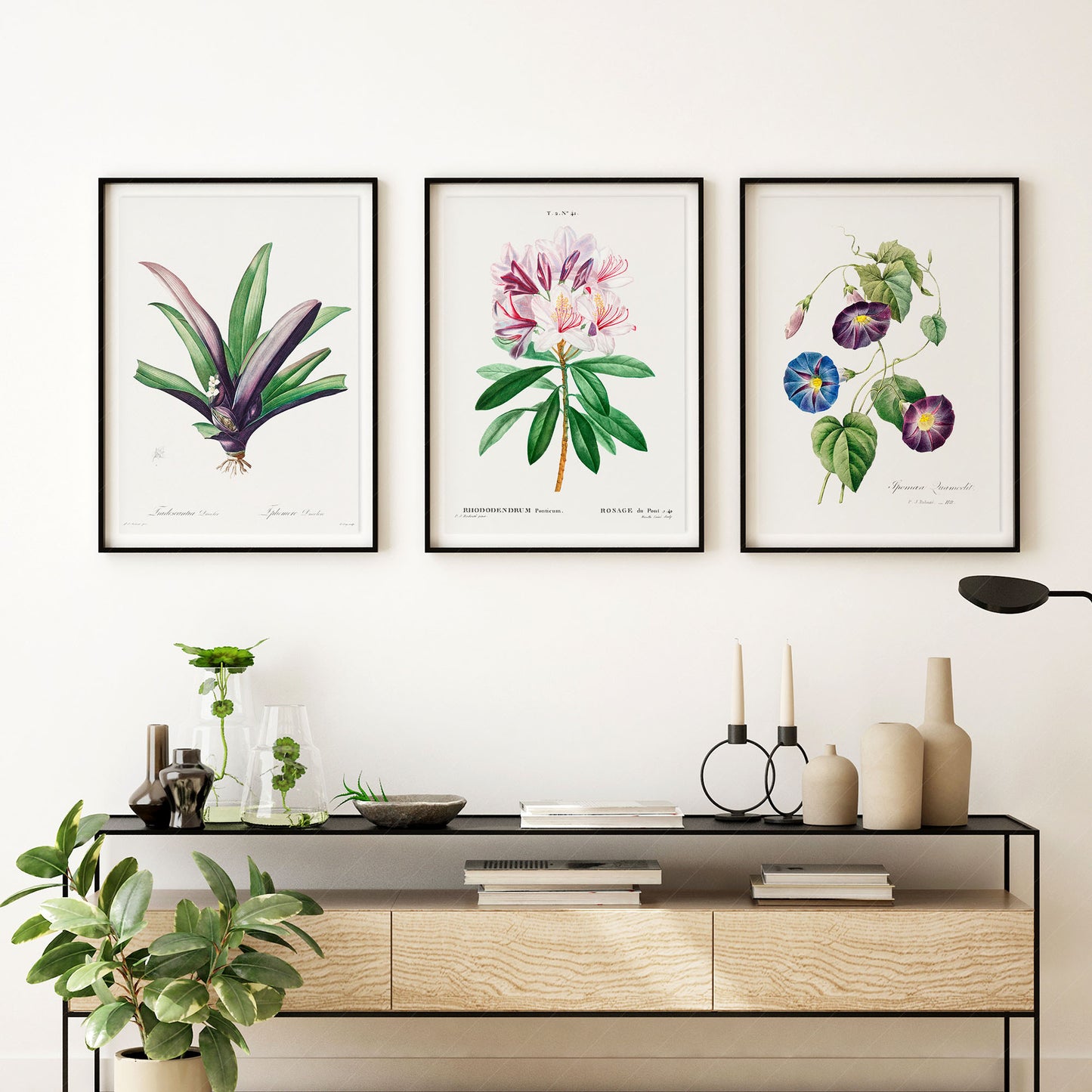 Botanical Gallery Wall Art, Set of 3 Prints, Antique Flowers Paintings 09