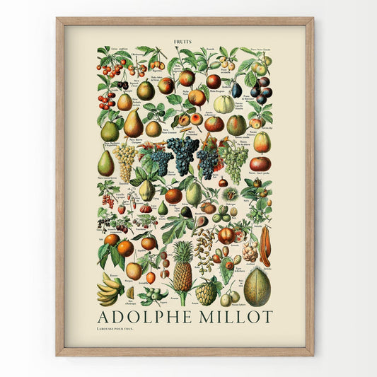 Home Poster Decor Vintage Fruit Print, Adolphe Millot Fruit, Vintage Decoration, Botanical Prints, Kitchen poster, Antique Fruit, up to 24x36, Archival Paper