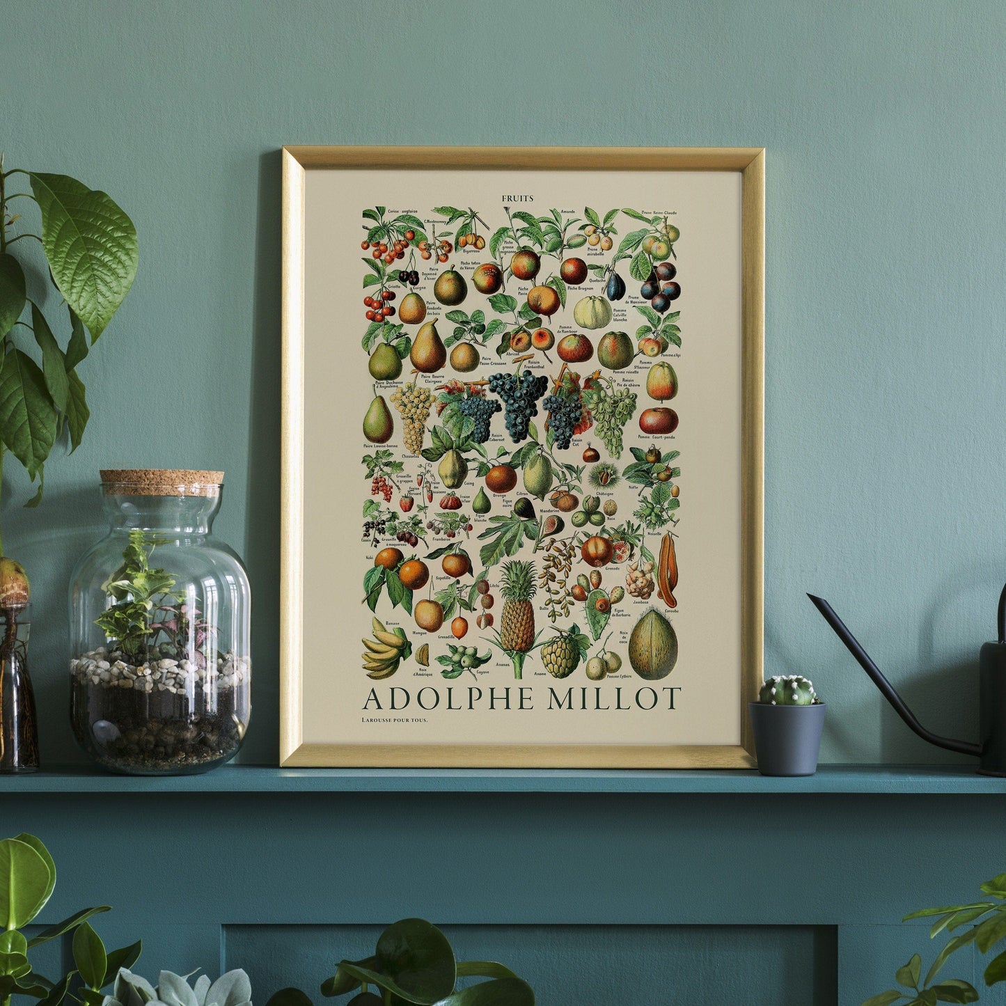 Home Poster Decor Vintage Fruit Print, Adolphe Millot Fruit, Vintage Decoration, Botanical Prints, Kitchen poster, Antique Fruit, up to 24x36, Archival Paper