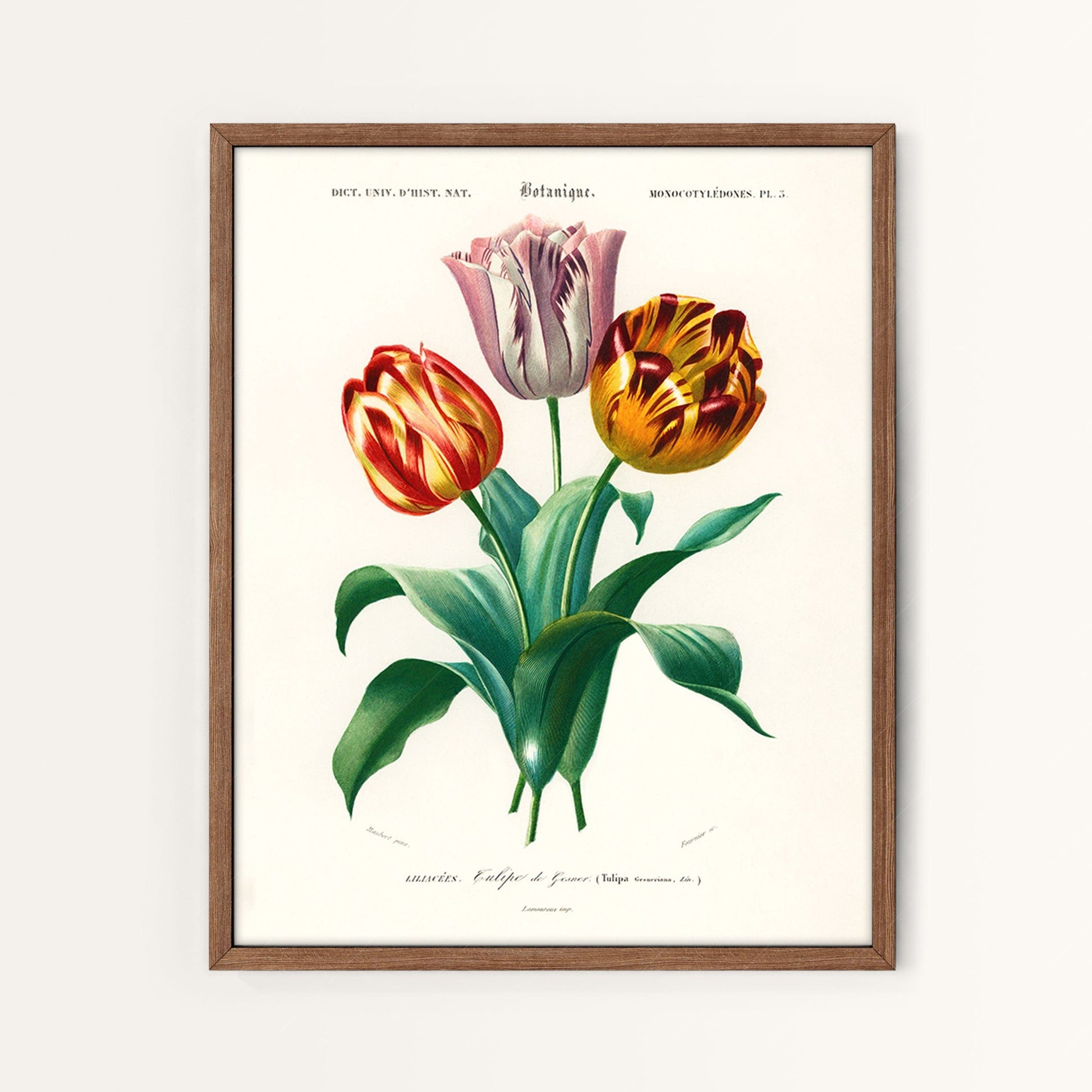 Home Poster Decor Gallery Wall Vintage Gallery Wall, Antique Flower Print, Butterfly Art, Farmhouse Gallery, Strawberry Poster, 5 Prints, 3 in 8 x10", 2 in 11x 14" size