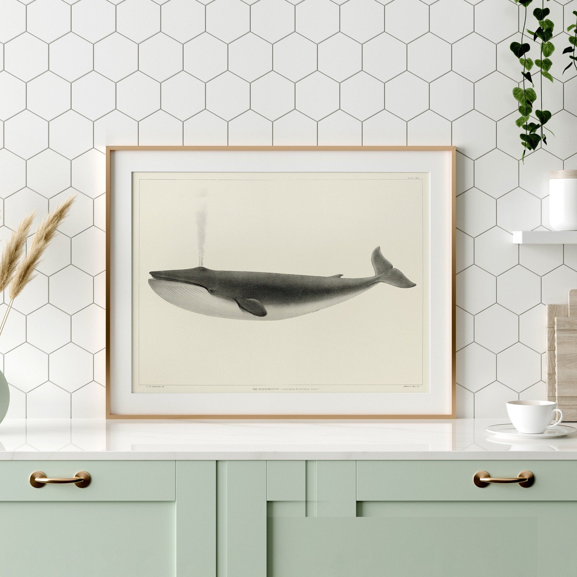 Home Poster Decor Whale wall art, Marine prints, Ocean poster, Nautical decor, Animal print, Whale print, Vintage Whale, Vintage Ocean